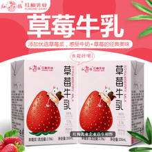 顺丰速递：【新品上市】红梅乳业草莓牛乳 200ml/盒 12盒(礼盒装)