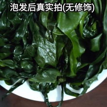 裙带菜干货批发烘干煲汤鲜嫩凉拌海白菜儿童包邮一件批发跨境电商