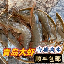 大虾青岛大虾海洋海虾新品海虾活冻鲜虾新鲜捕捞厂家直供批发
