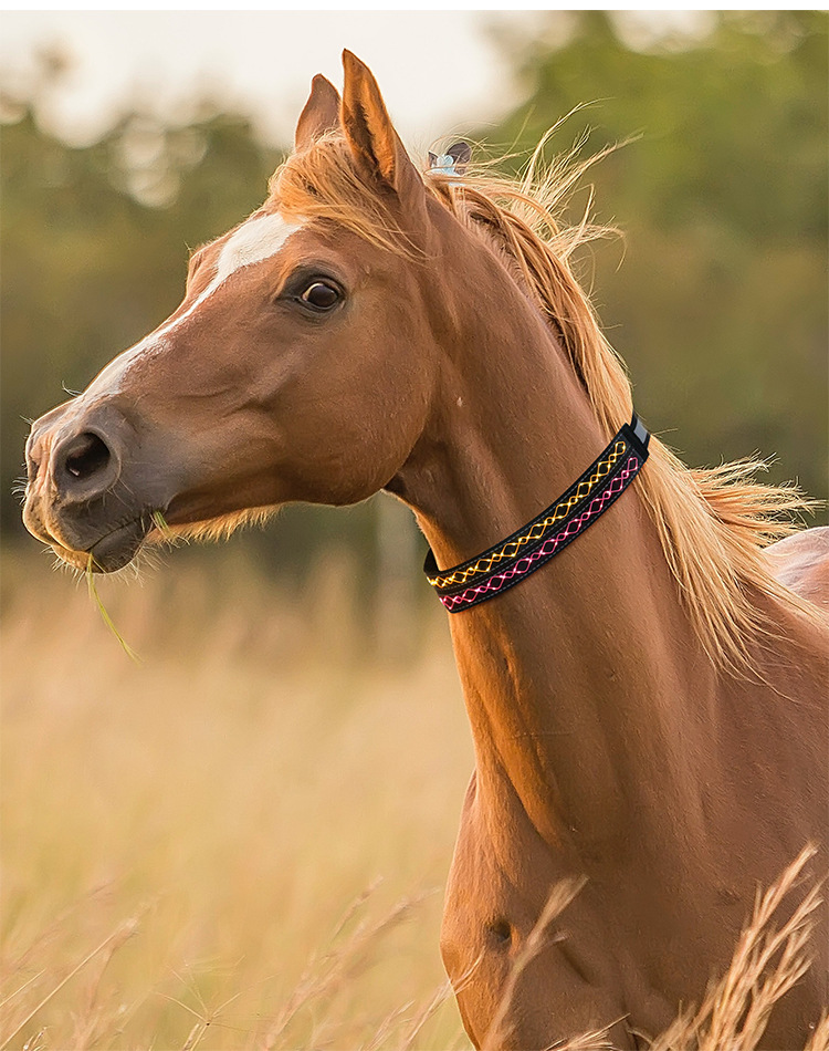 2021年新款源头厂家跨境led艺术绳绣发光马脖套usb充电马术用品