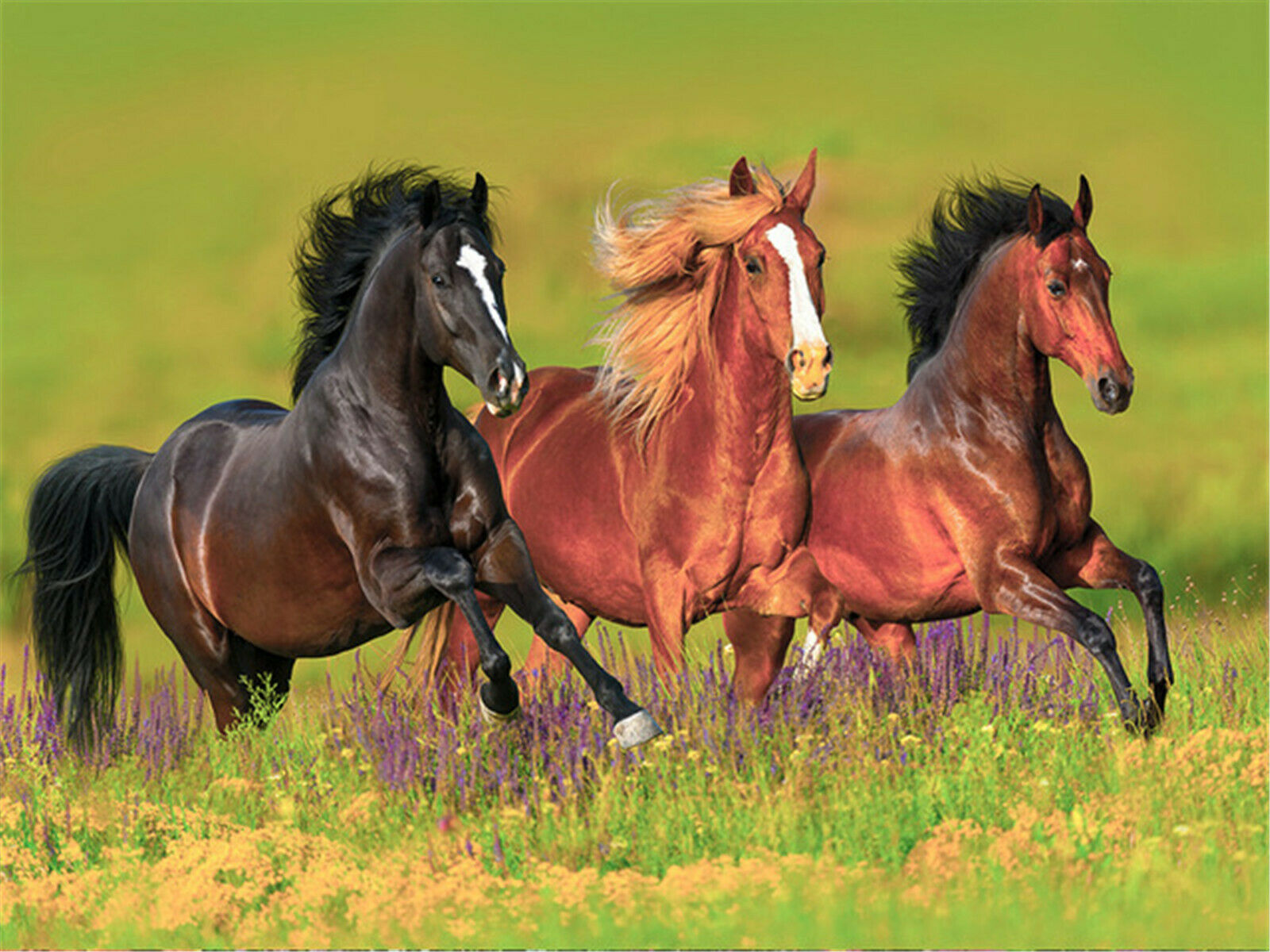 厂家直销定制批发diy钻石绣圆钻满钻草原奔腾三匹马钻石画