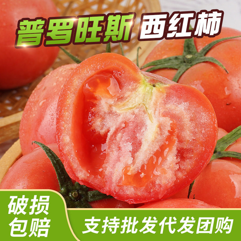 海阳普罗旺斯西红柿整箱新鲜沙瓤番茄现摘现发可生吃西红柿-阿里巴巴