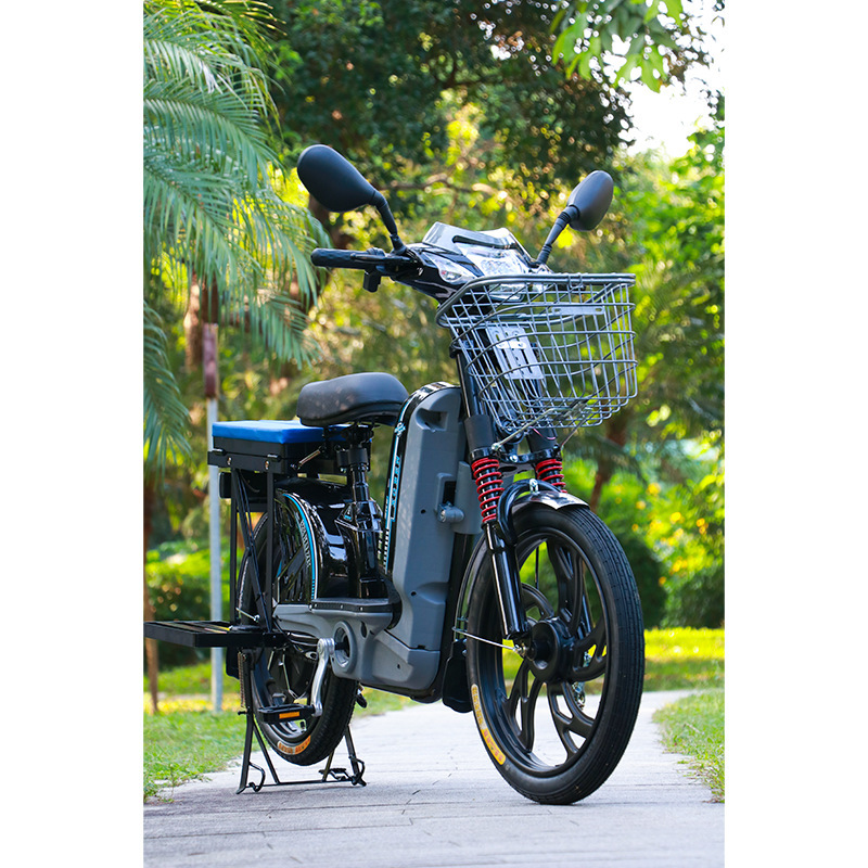 定制款摩托电瓶车搭客电动自行车锂电池便捷代步助力电动车新国标