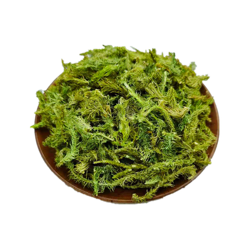 批发伸筋草舒筋草新货不熏染农产品可质检伸筋草粉药材原料伸筋藤