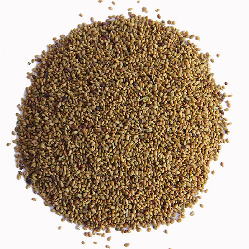 苜蓿籽-新款价格,厂家,货源-阿里巴巴