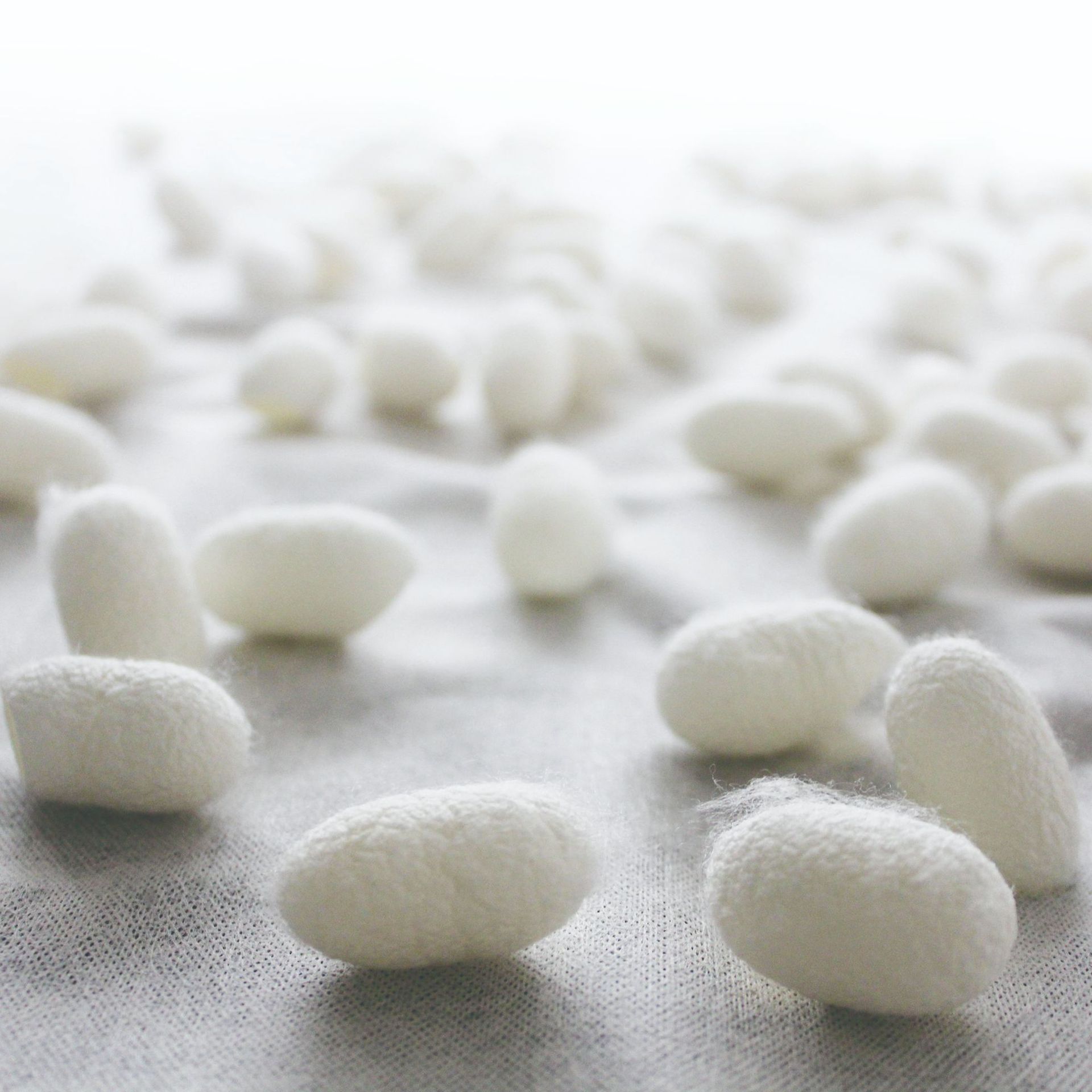 天然蚕丝水刺无纺布 桑蚕丝非织造布 卫生美容用面层 32gsm