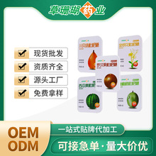 草珊瑚 胖大海润喉糖含片 源头厂家OEM/ODM批发贴牌定制代工