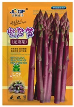 绿芦笋种子白芦笋种子紫芦笋种子龙须菜种子青丰种业多年生蔬菜种