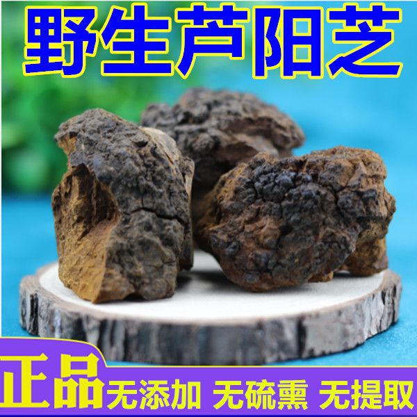芦阳芝野生西藏原产泡水养生材芦阳芝大粒西藏芦阳苉灵芝-阿里巴巴