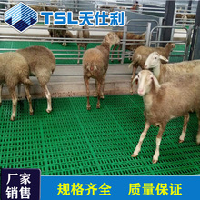 羊床两用垫板漏粪板 兽用养羊漏粪板羊场设备漏粪板厂家批发