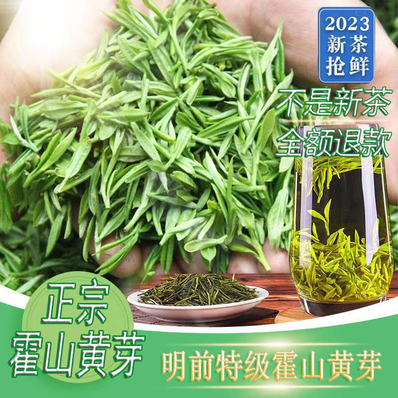 2023安徽新茶正宗霍山黄芽明前非特级高山春茶叶手工黄茶浓香耐泡