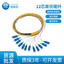 12芯束状尾纤 sc/upc 光纤连接器 lc/upc束状尾纤 日海 光纤跳线