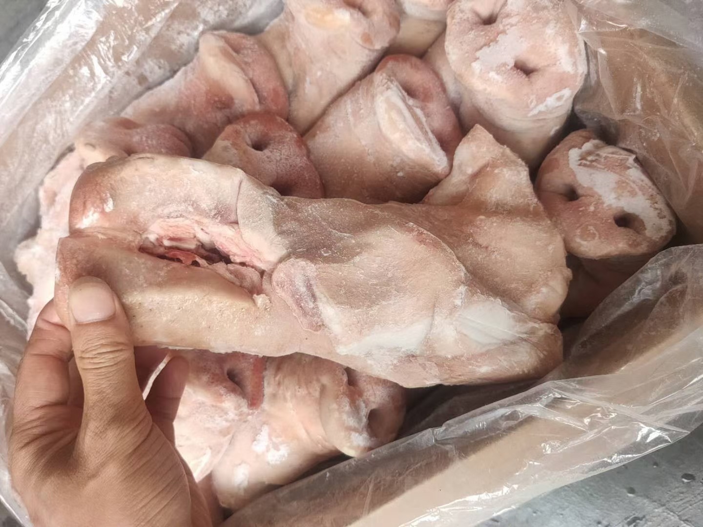卤菜专用拱嘴 冷冻生猪头肉 新鲜猪拱嘴 整件20斤装 猪脸肉非腌制