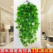 仿真植物假花藤条绿色绿叶绿植绿萝叶子吊兰室内壁挂装饰挂墙垂吊