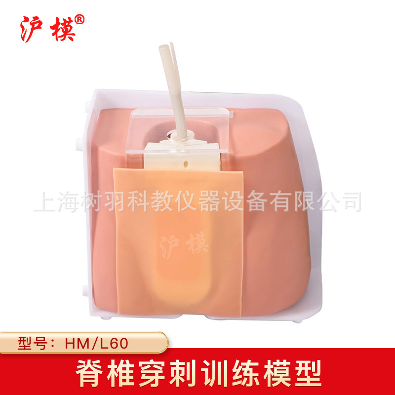 沪模hm/l60脊柱穿刺模型全麻模拟腰麻训练硬膜外麻醉练习教学教具