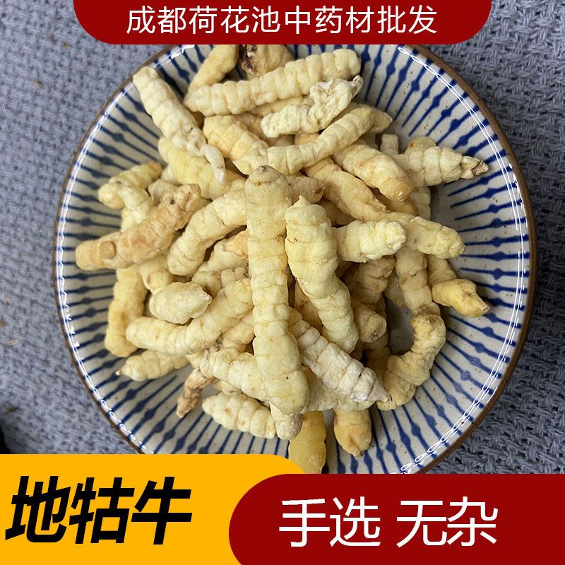 地牯牛地蚕无硫白虫草参草石蚕干货中药材泽兰根地虫地葫芦500克