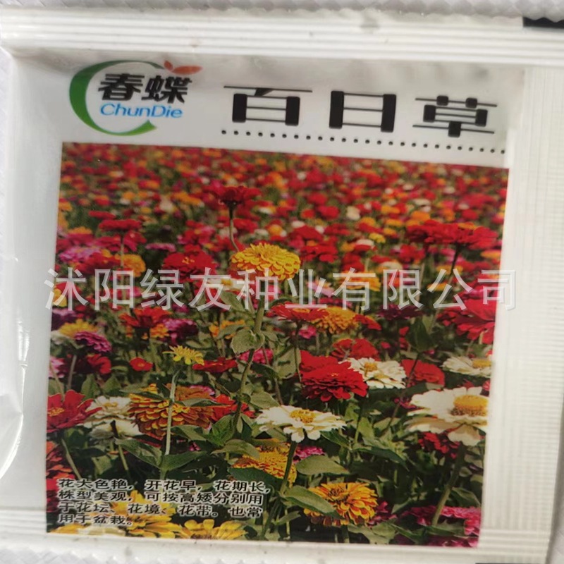 厂家花卉种子小包装百日草花卉种子 透明袋包装，彩色袋包装