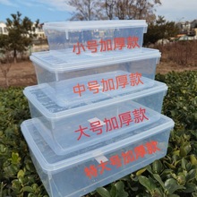 塑料保鲜盒长方形透明厨房收纳保鲜盒干果水果食品盒密封盒子大号