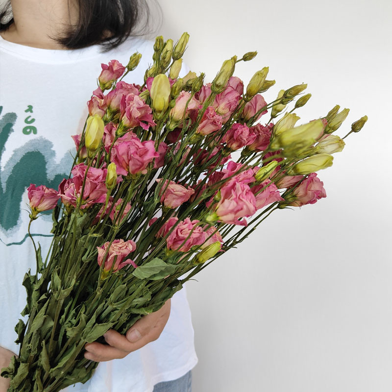 昆明洋桔梗现烤干花批发花束礼品diy插花居家装饰-阿里巴巴