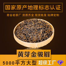 福建武夷山 黄芽金骏眉 黄度高 桐木关红茶散装茶叶批发500g