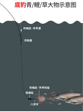 鱼钩绑好成品套装专用双钩鲢鱼手竿弹簧大头线组新型浮钓鲢鳙钓组