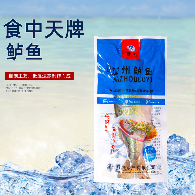 300-400g鲈鱼 淡水鲈鱼活鱼现杀 酒店适用食材 量大从优