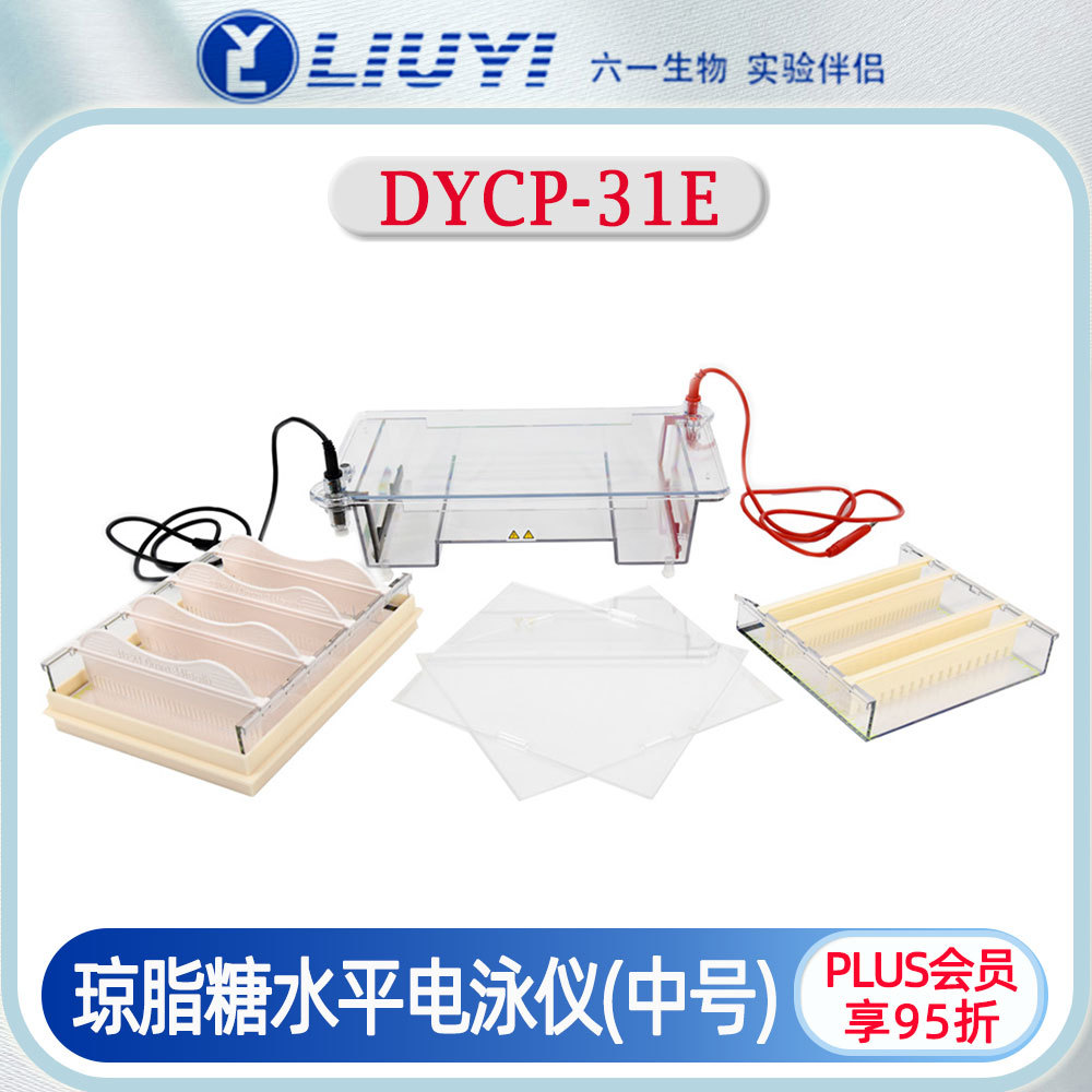 北京六一DYCP-31E琼脂糖水平电泳仪中号鉴定分离制备DNA核酸电泳
