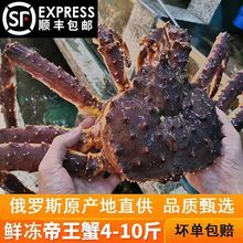 帝王蟹海鲜鲜冻水产4-10斤特大螃蟹冰鲜生冻皇帝面包顺丰包邮