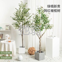 j都仿真绿植橄榄树盆栽室内大型北欧风客厅服装店装饰假植物落地