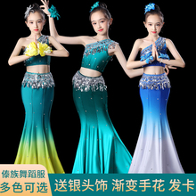 傣族舞蹈服装演出服儿童女女童艺考练习裙修身练功裙表演服鱼尾裙