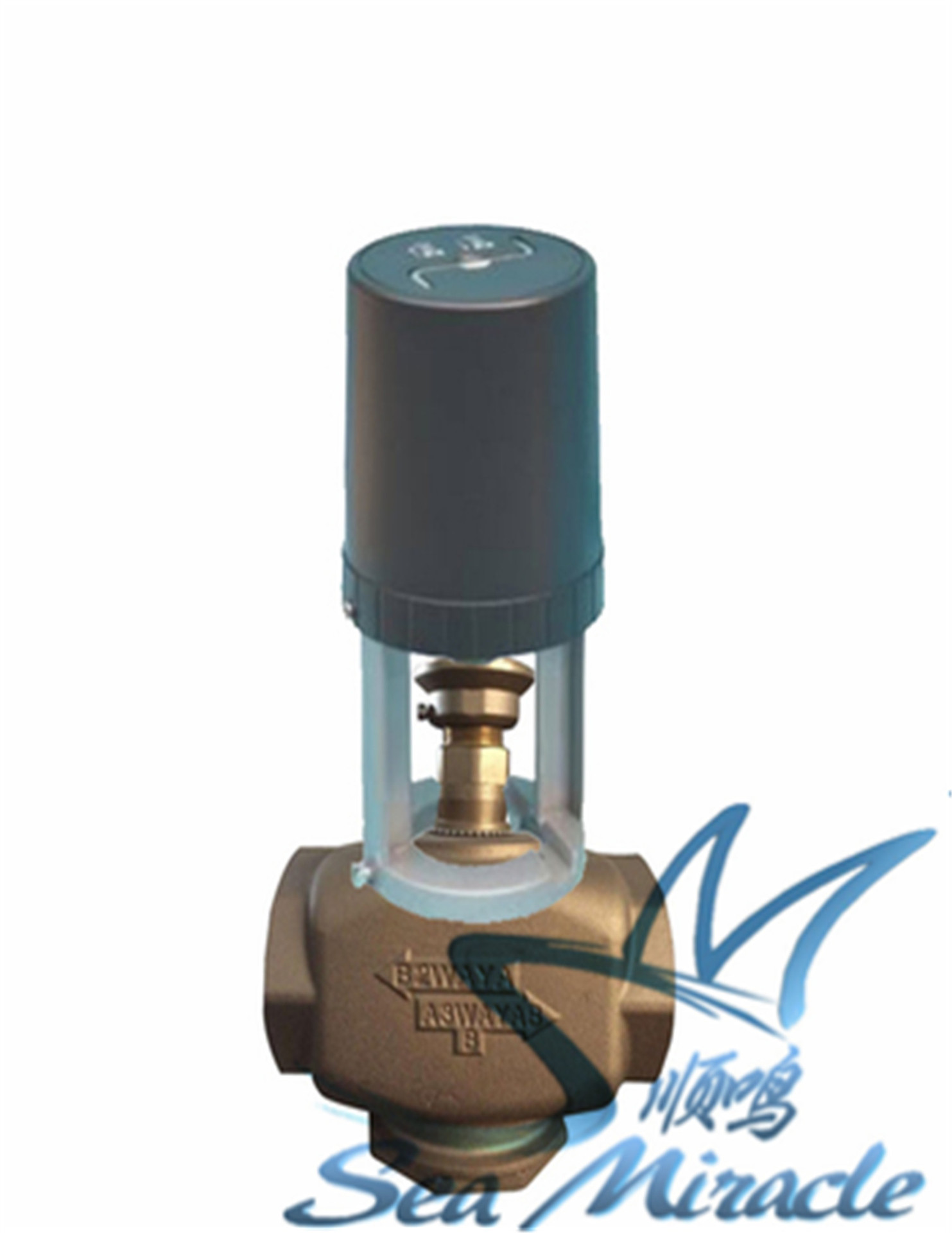 新加坡索龙温控调节阀s6062-10a s6063-2050-dtc二通模拟水阀dn50