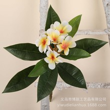 仿真鸡蛋花 绿植 3D打印手感小枝鸡蛋花树 园林橱窗造景仿真树花