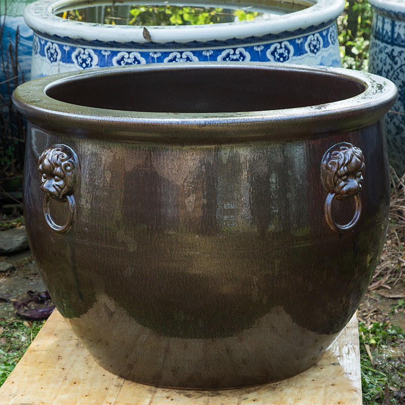 陶瓷大缸特大号老式招财狮耳锦鲤睡莲荷花盆户外庭院种树养鱼水缸