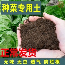 营养土大量批发种菜土阳台种菜土壤通用型种植有机肥料蔬菜专用土