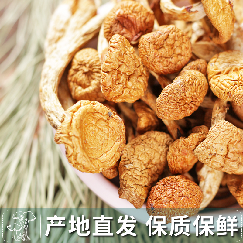 东北滑子菇干货食材滑子蘑珍珠菇500克煲汤材料小鸡炖蘑菇长白山