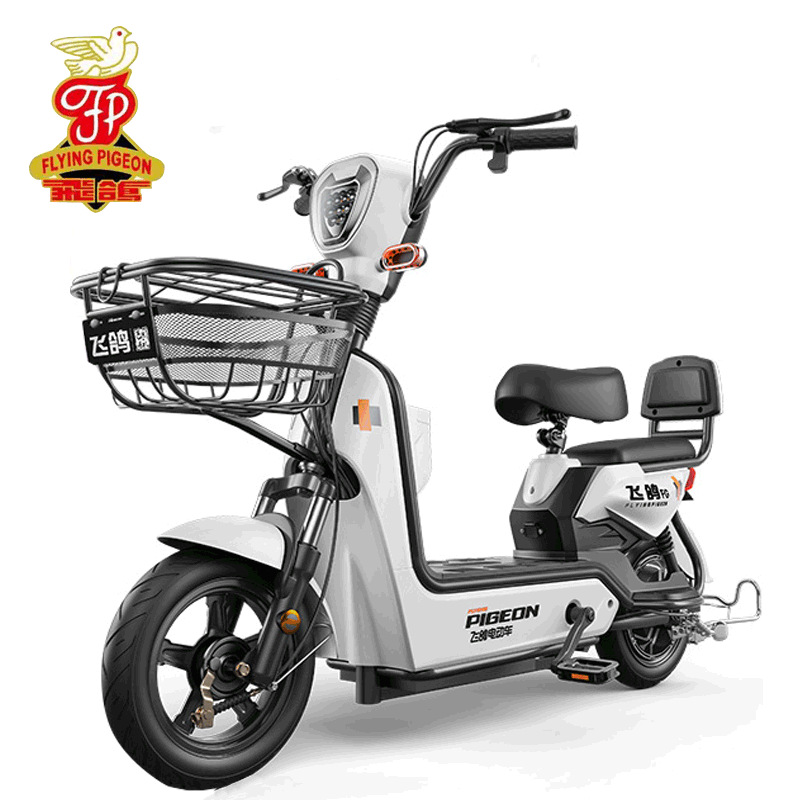 飞鸽(flying pigeon)电动车新国标无刷永磁电机金鹰幻影实体货