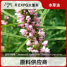 大篷车益母草精油原料批发芳疗护理调香按摩本草精油Motherwort