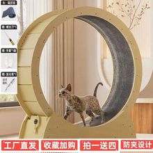 猫咪跑步机猫咪转盘跑步运动猫跑道静音滚筒猫窝猫咪用品