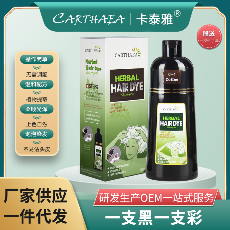 CARTHAEA一支黑一支彩染发剂 家用清水泡泡染膏 配方温和操作方便