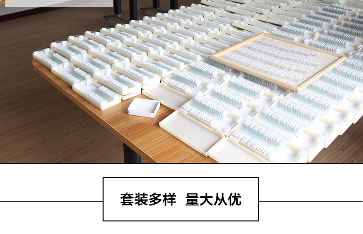 囊)16,轮藻15,硅藻14,紫菜装片13,狐尾藻装片12,水绵接合生殖装片11