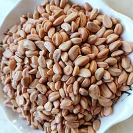 厂家供应山楂籽 汽车坐垫枕头填充山楂籽 儿童沙池水洗山楂籽