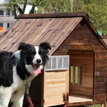 实木狗屋户外防雨防水四季通用狗笼狗房子猫窝猫房子宠物窝狗舍