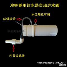 新款养鸡用鸭鹅用自动饮水器水壶水槽养鸡设备进水阀水位开关