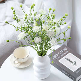 翠竹鲜花云南基地直发家用办公室花束瓶插鲜切花卉水养翠珠礼品