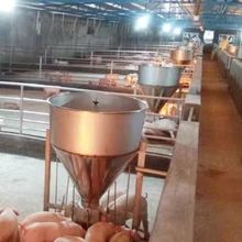 不锈钢干湿自动料槽育肥母猪食槽喂料器小猪用双面料槽养殖场设备