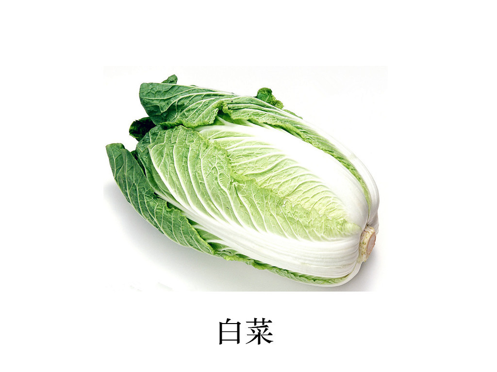 基础认知蔬菜卡片自闭症孤独症语言早期教育儿童康复训练