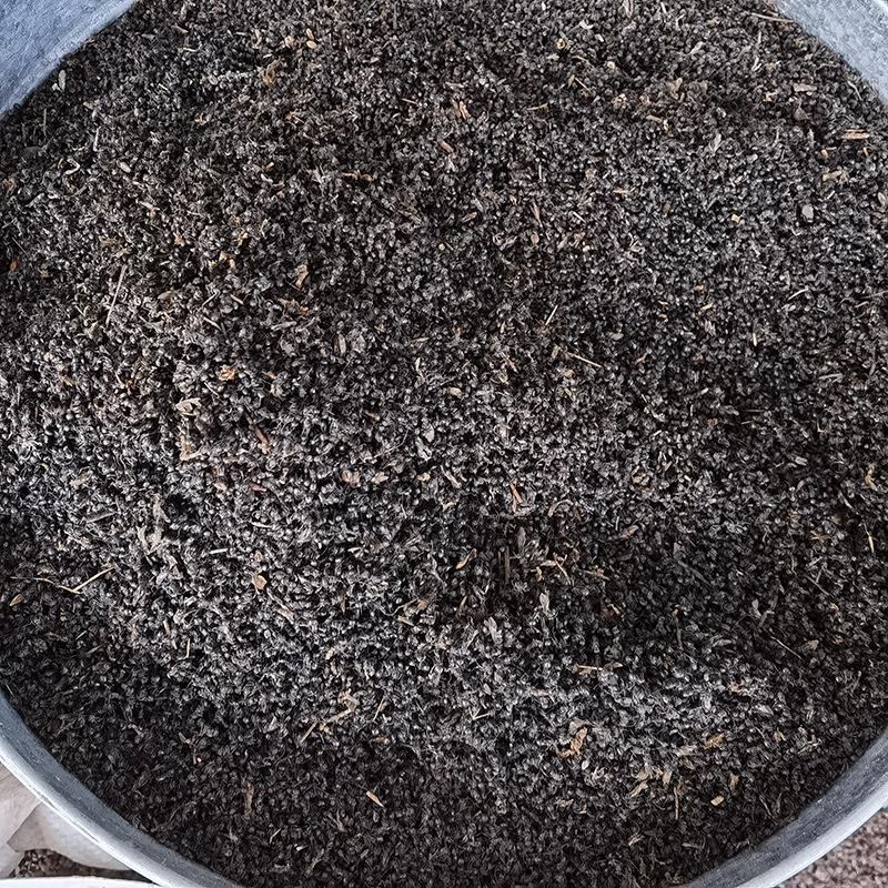 黑蚂蚁干货500g克正品横县黑蚂蚁酒料拟黑多刺蚁中药材食用黑蚁粉