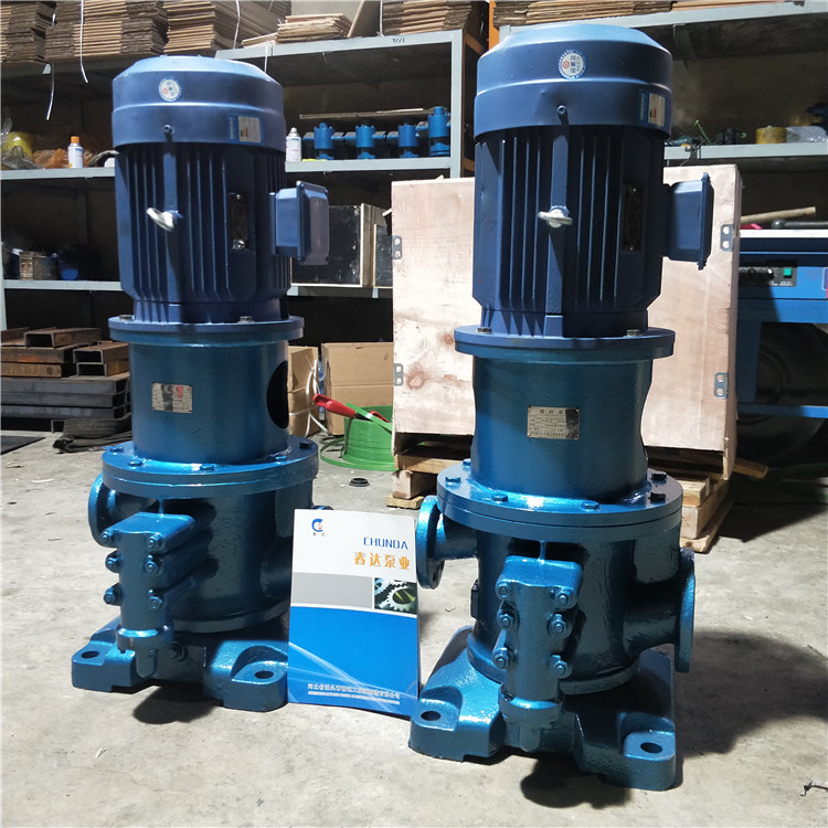 3gcl50x2w2 立式螺杆泵润滑油泵燃油泵大流量立式双吸泵