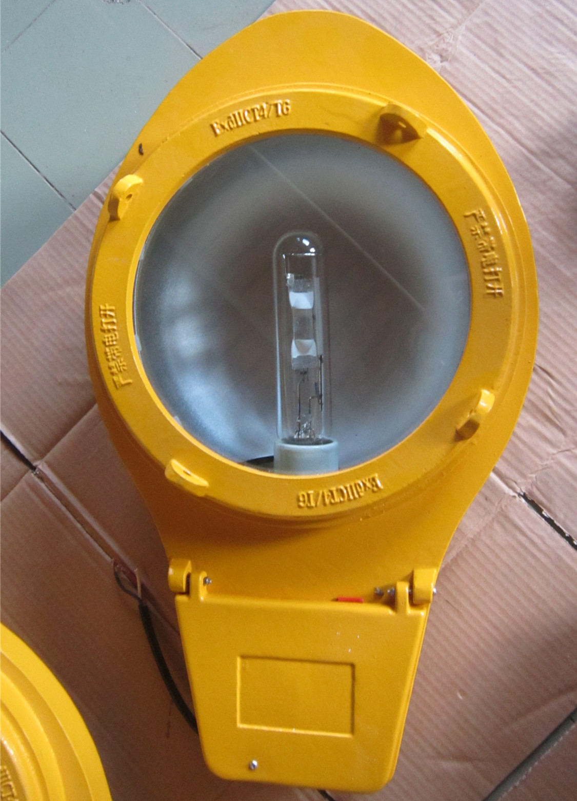 Blc8610 Explosion-Proof Road Lamp 250W Metal-Halide Lamp 400W Explosion-Proof the Street Lamp