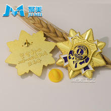 金属狮子会会徽定制哑光徽章定做异形烤漆服务队纪念队徽浮雕胸针